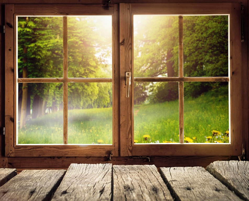 Servis okien a dverí